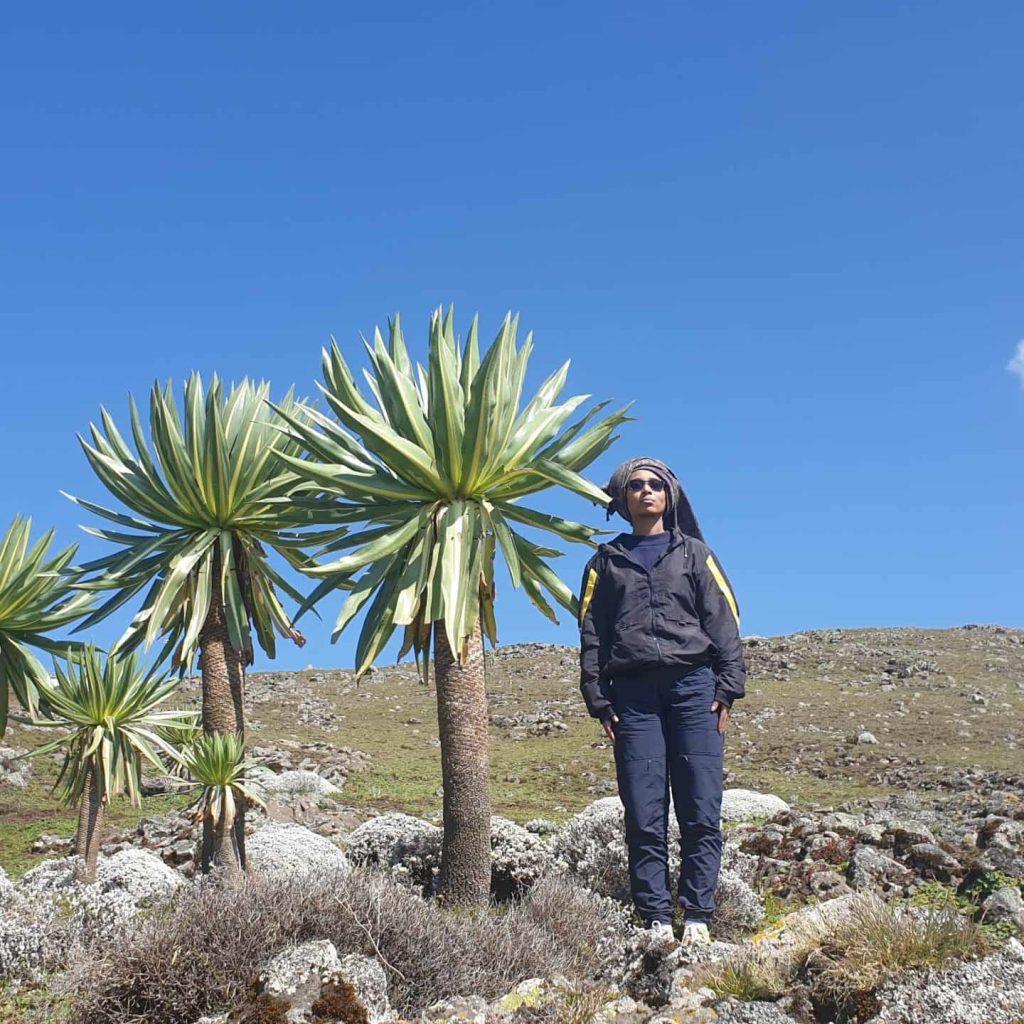 Hiking trail in Bale Mountains National Park, Ethiopia