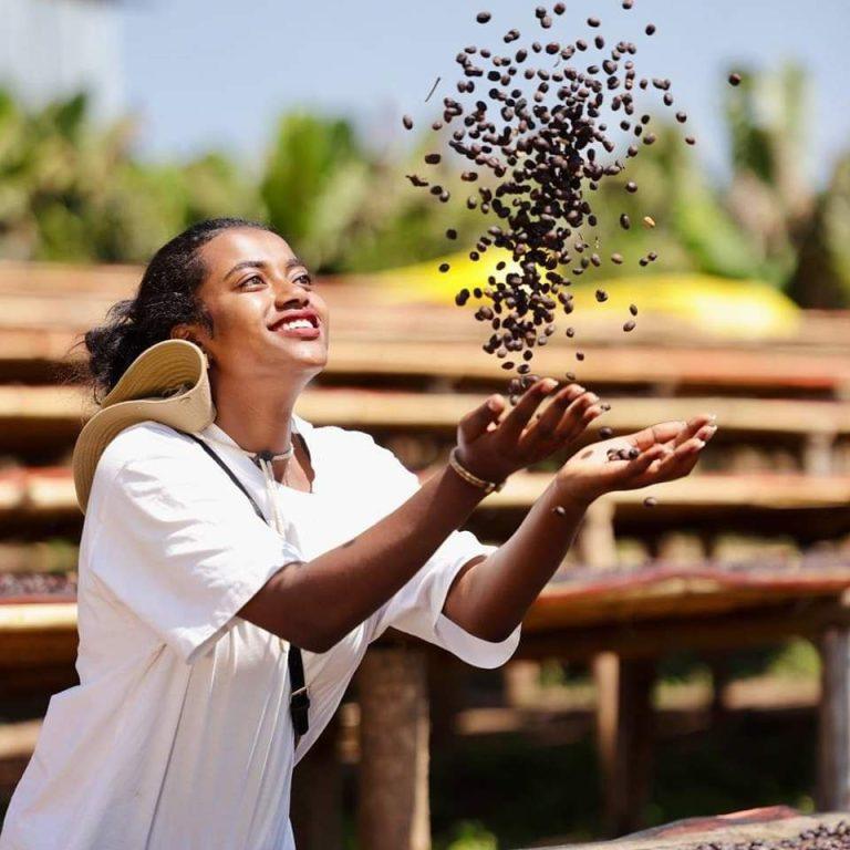 Coffee growing in Ethiopia, the origin of arabica