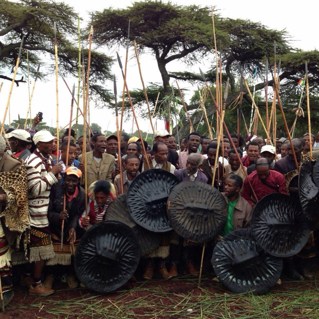 A large gathering of Sidama men at Gudumale in Hawassa holding tall ceremonial spears and dark embossed shields, some wearing patterned and animal-skin regalia, under flat-topped acacia trees