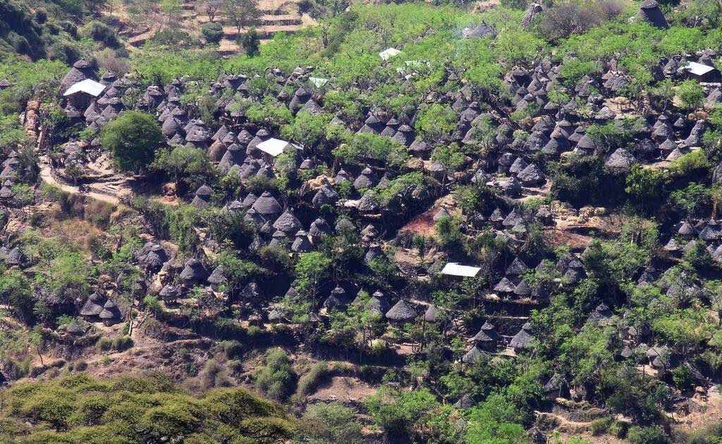 Stone-walled Konso village of thatched conical houses on a terraced hillside
