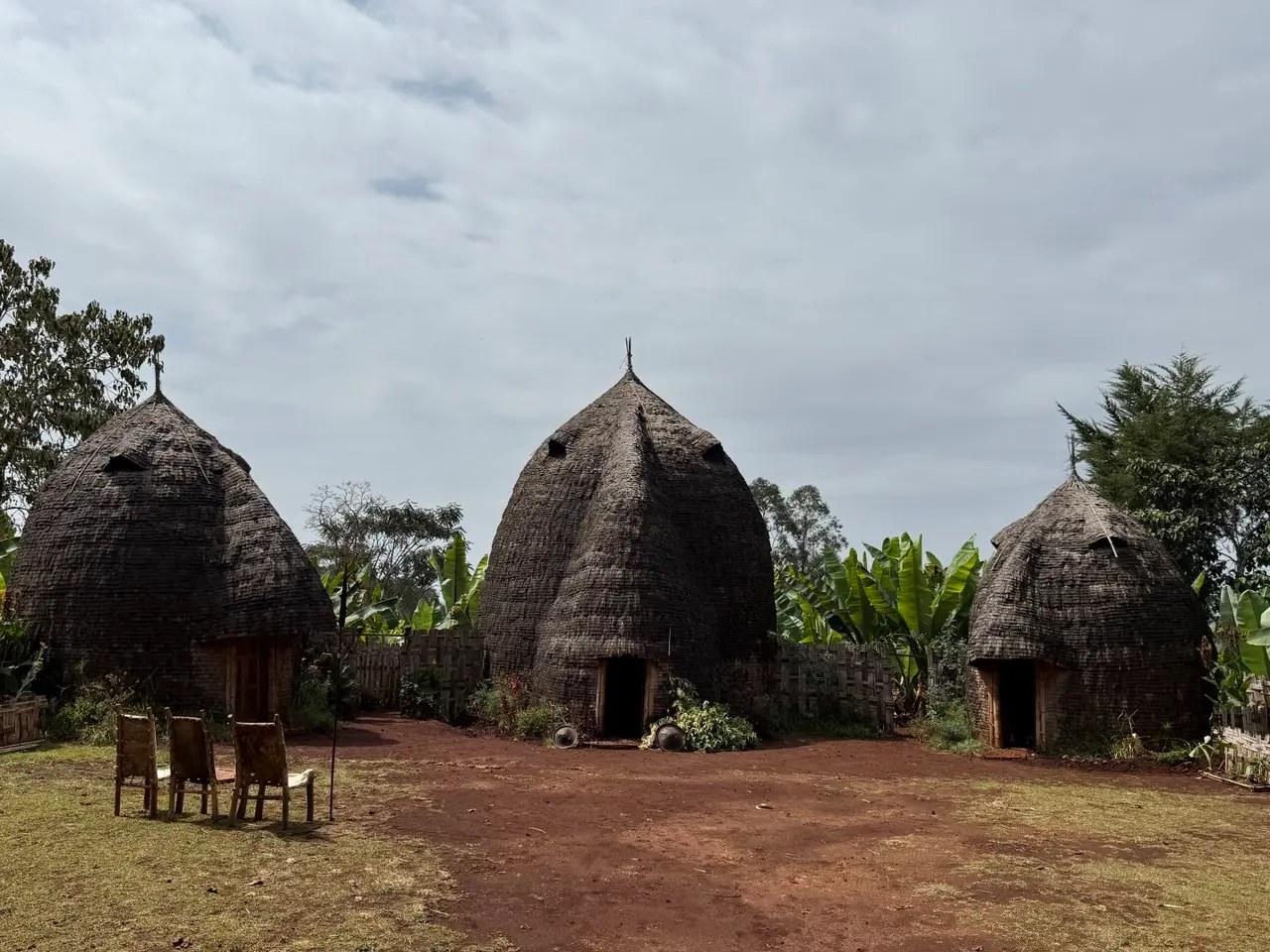 Traditional Dorze bamboo houses in the Gamo highlands near Chencha, Ethiopia