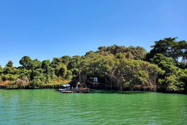 Green shore of Lake Tana at Bahir Dar