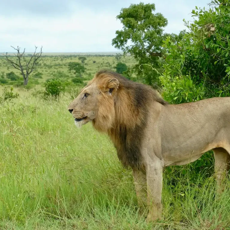 Alatish National Park, Ethiopia