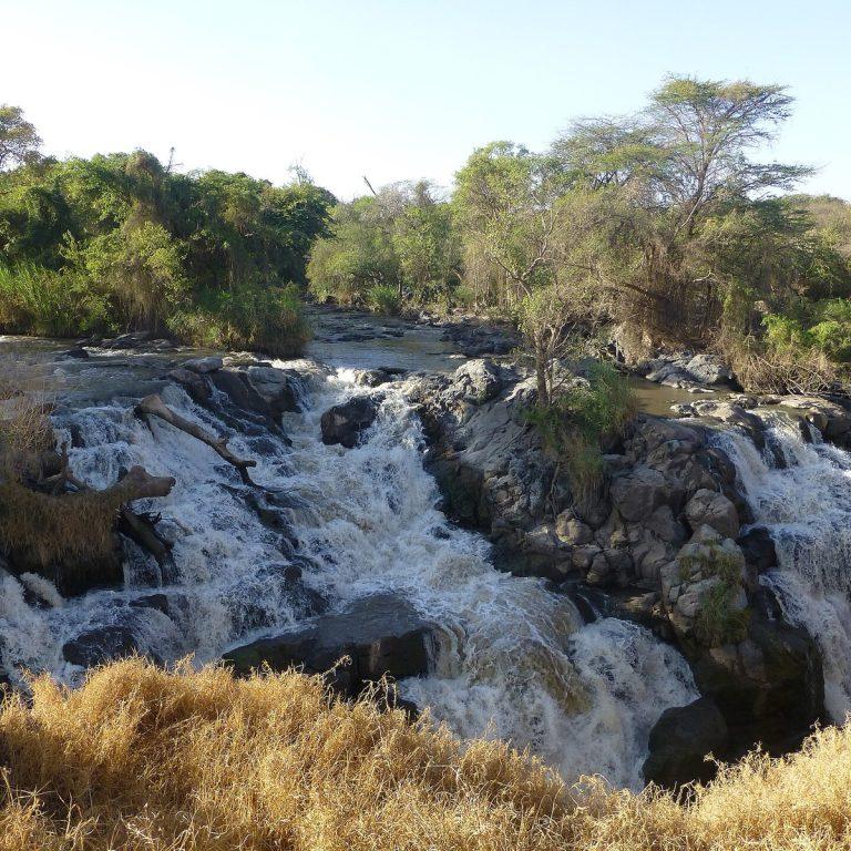 The Awash River pouring over dark boulders into a gorge in several white channels, with acacia trees on the far bank and dry golden grass in the foreground