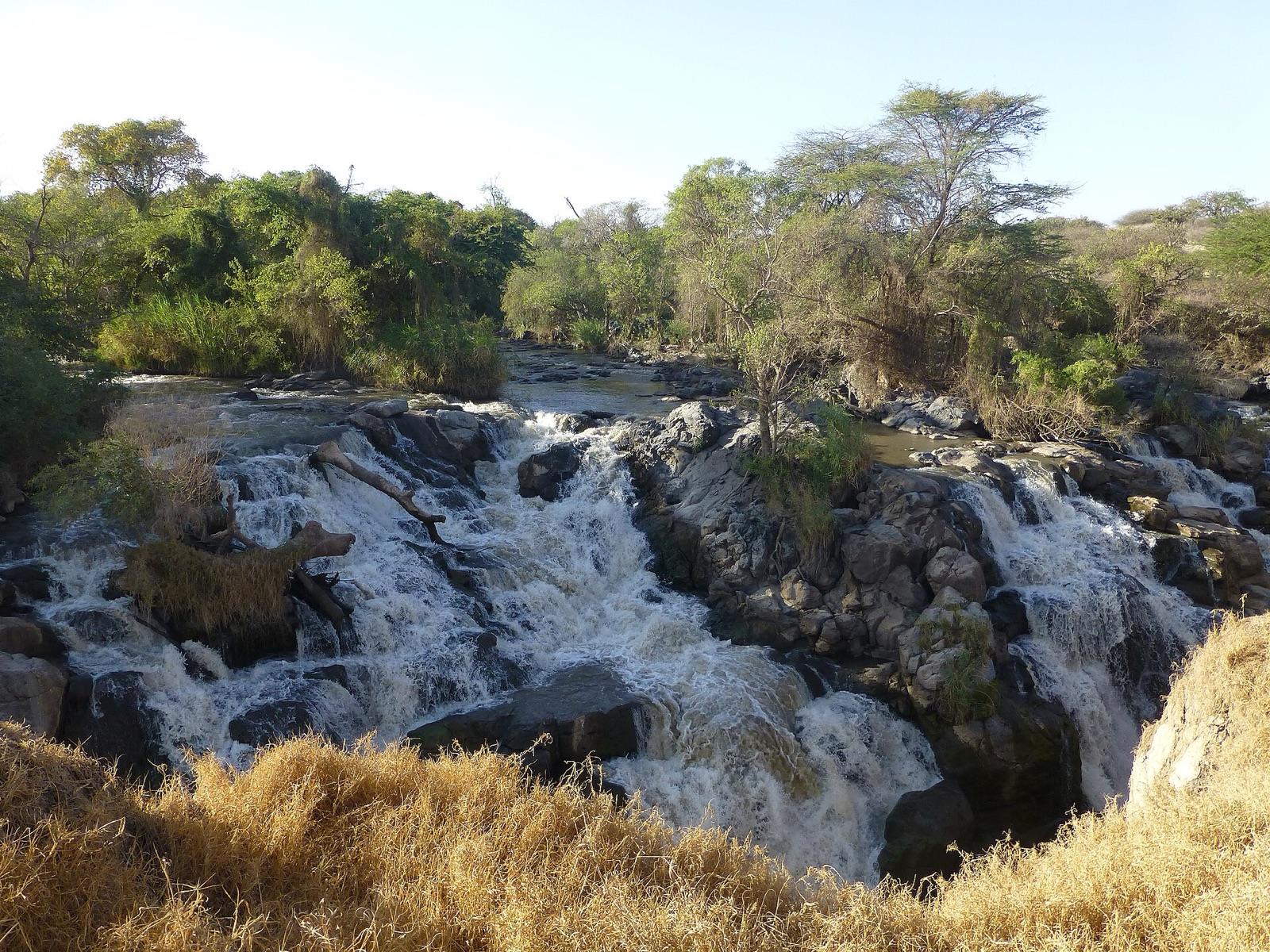 The Awash River pouring over dark boulders into a gorge in several white channels, with acacia trees on the far bank and dry golden grass in the foreground