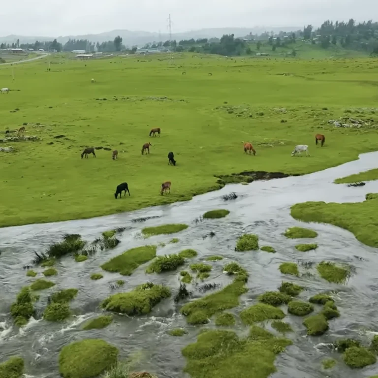 Bale Mountains National Park — Ethiopia travel guide
