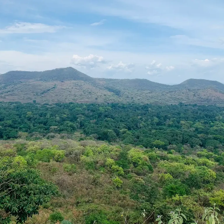 Chebera Churchura National Park — Ethiopia travel guide