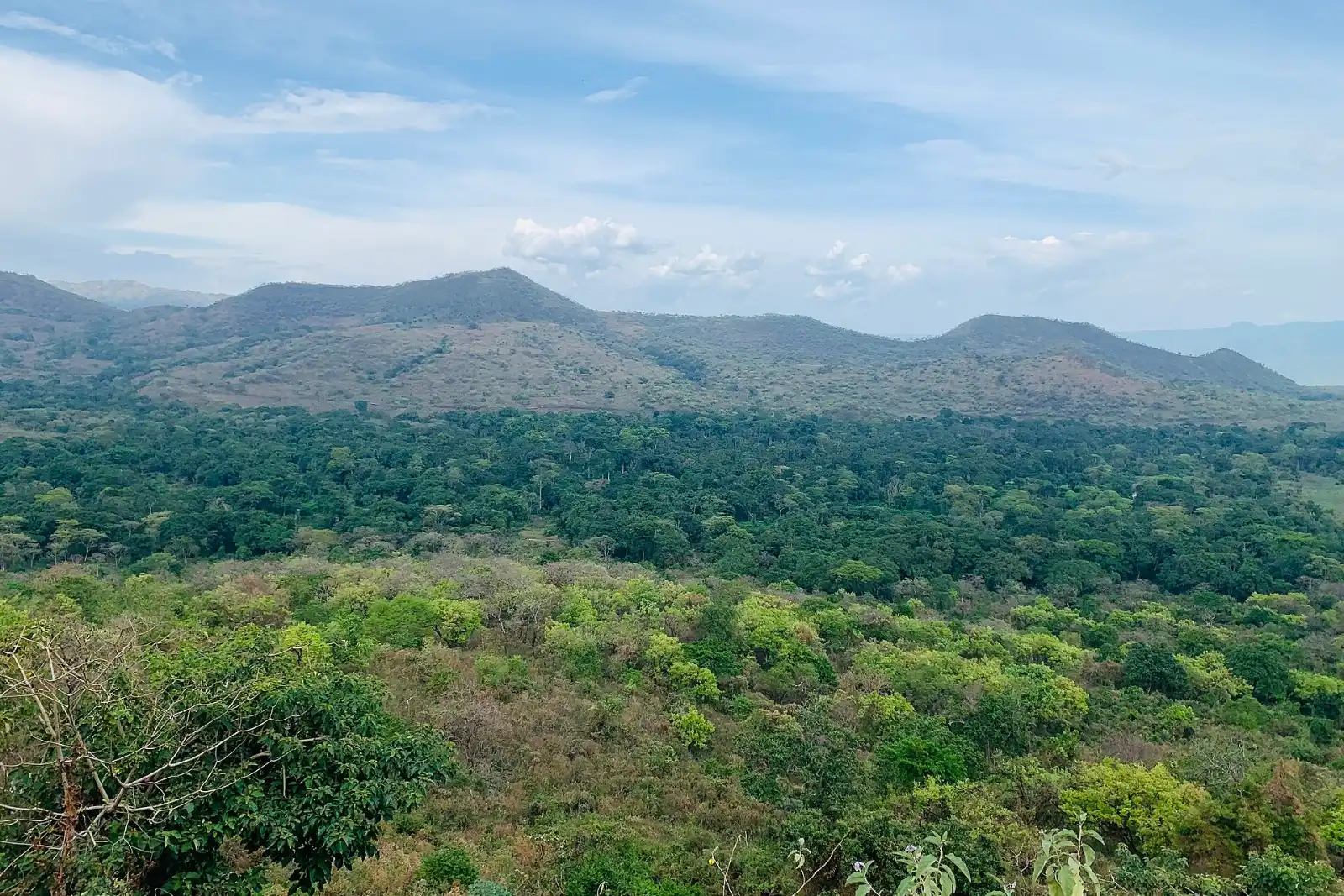 Forested hills and valleys of Chebera Churchura National Park, southwestern Ethiopia