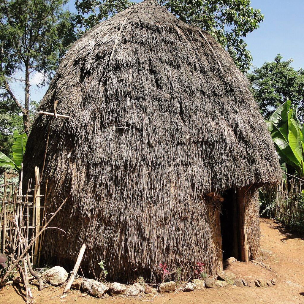 A tall domed Dorze house thatched to a point, with a dark doorway on one side, standing on red earth beside enset plants and a bamboo fence under a blue sky