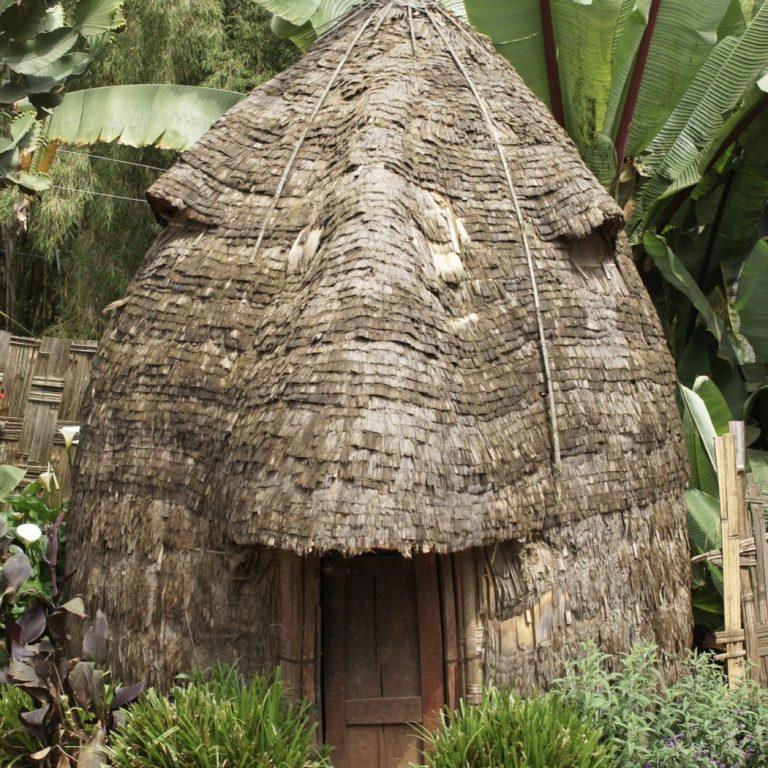 A tall Dorze beehive house thatched in layers to a point, with a wooden door and large enset plants rising behind it