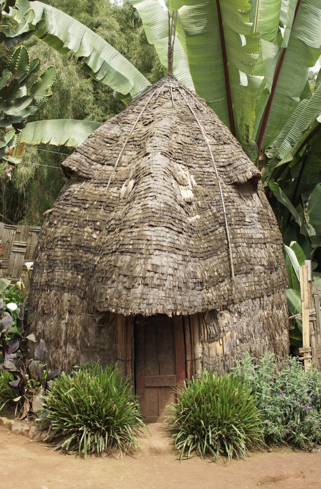 A tall Dorze beehive house thatched in layers to a point, with a wooden door and large enset plants rising behind it