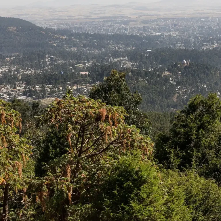 Entoto Park, Ethiopia