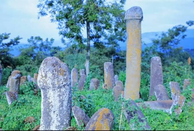 Ancient carved stelae at the Gedeo Cultural Landscape in southern Ethiopia